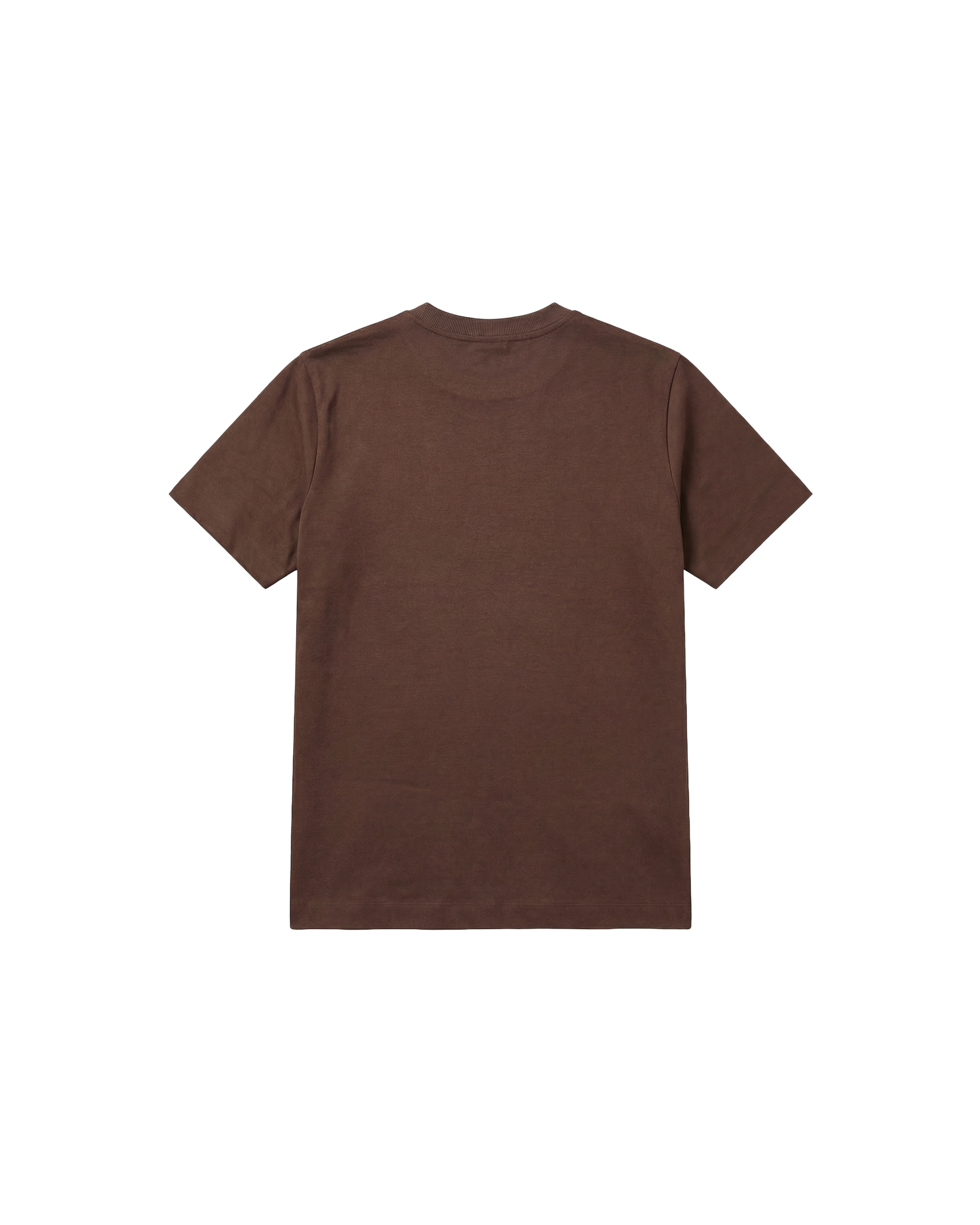 Camiseta básica Regular 250g Chocolate