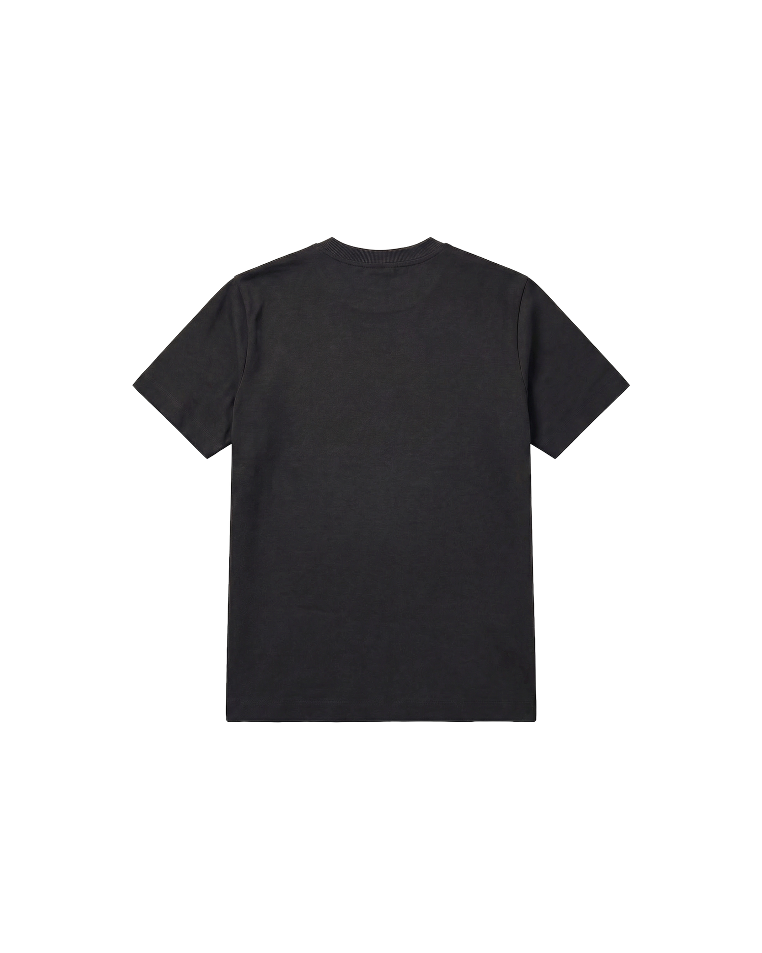 Camiseta básica Regular 250g Negro