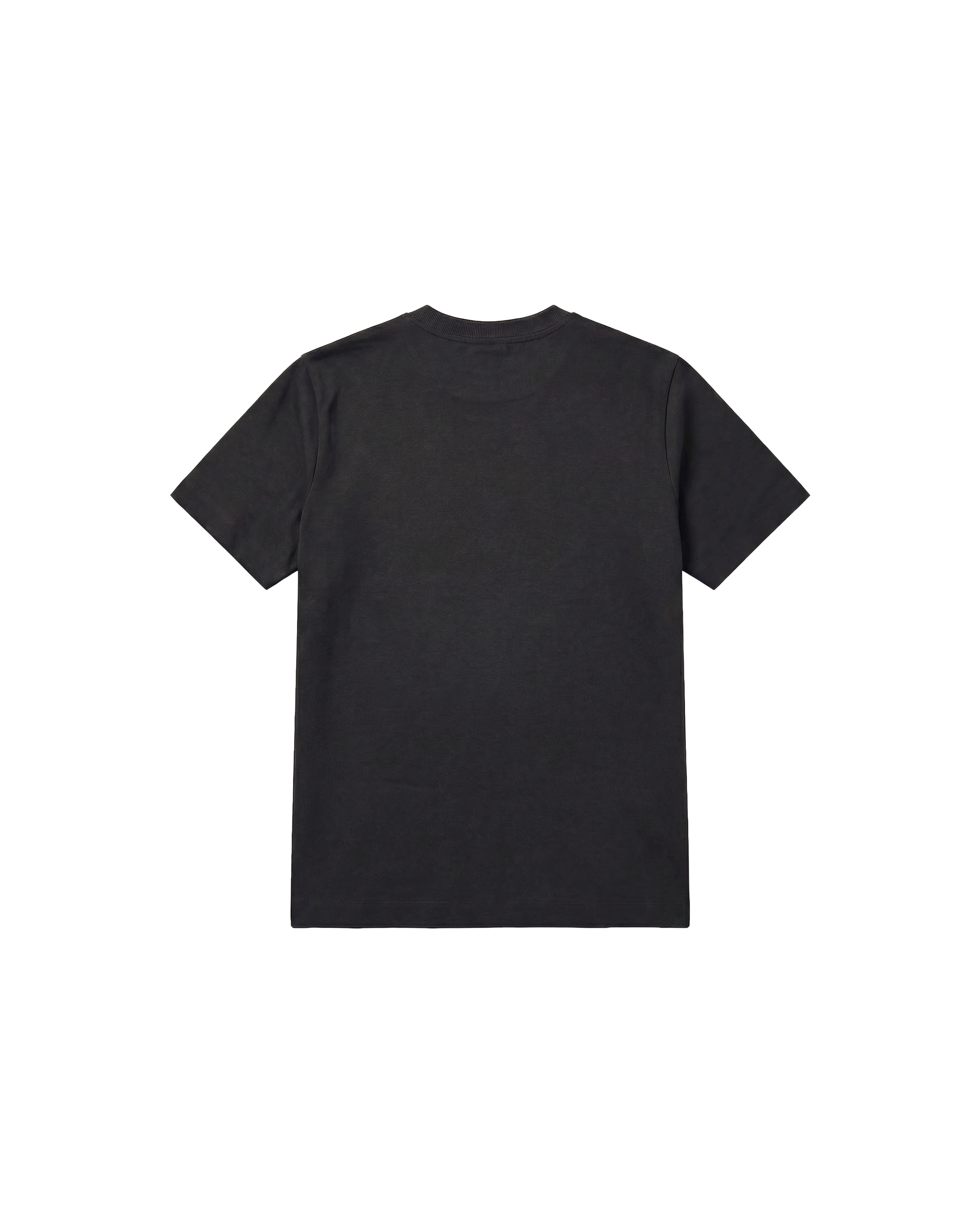 Camiseta básica Regular 250g Negro