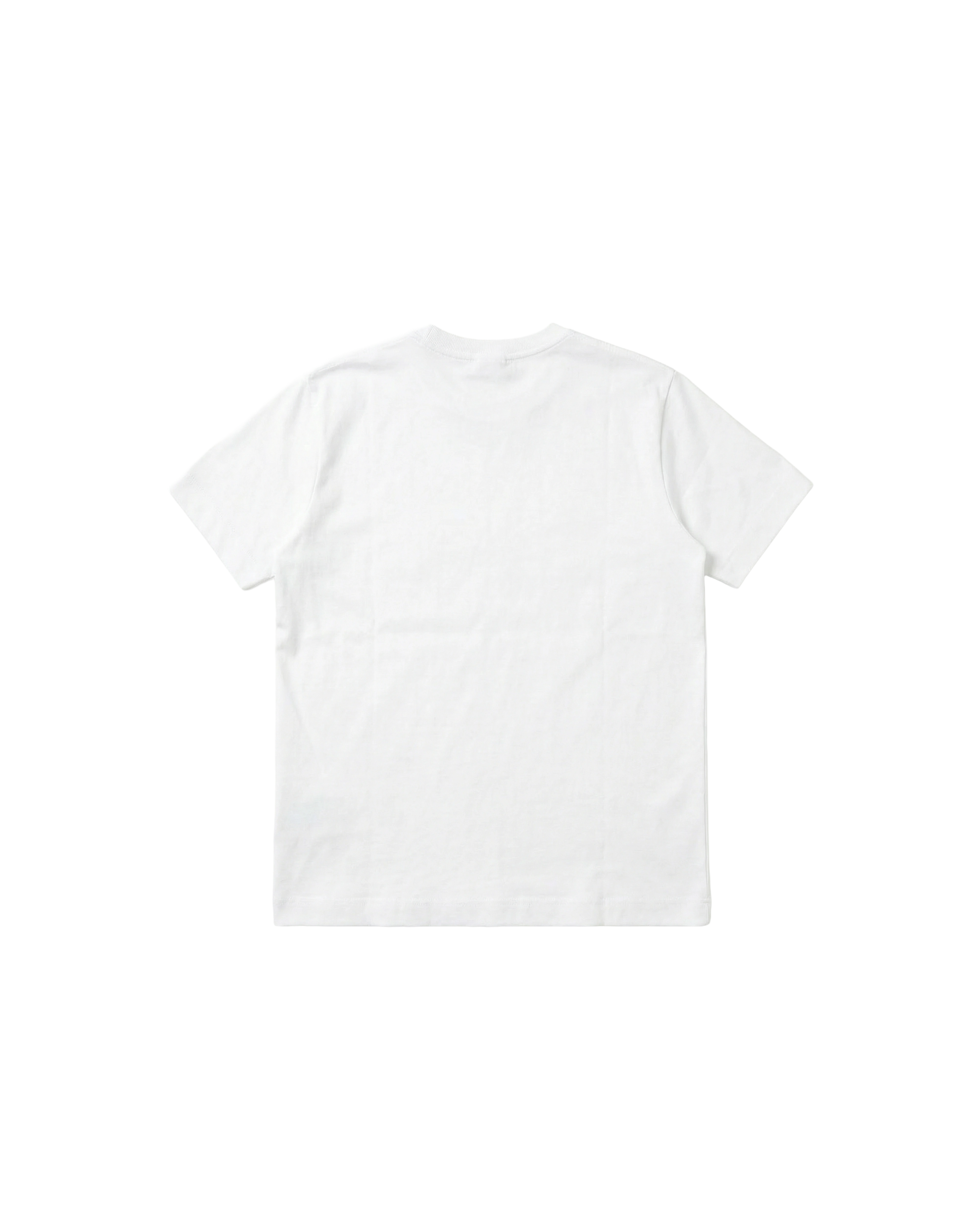 Camiseta Básica Regular 310g Blanco