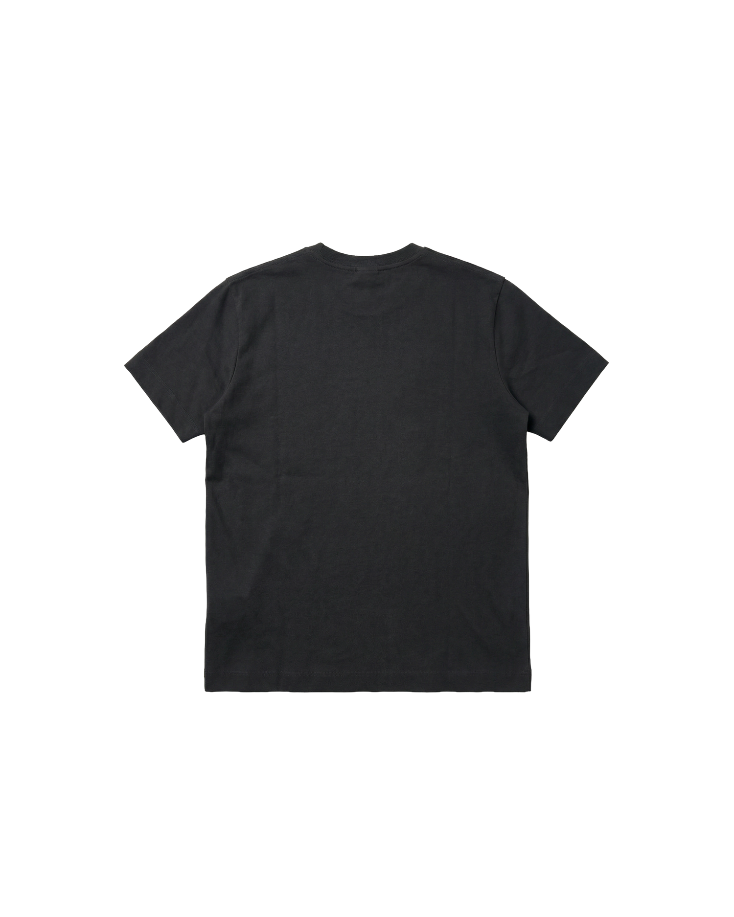 Camiseta Básica Regular 310g Negro