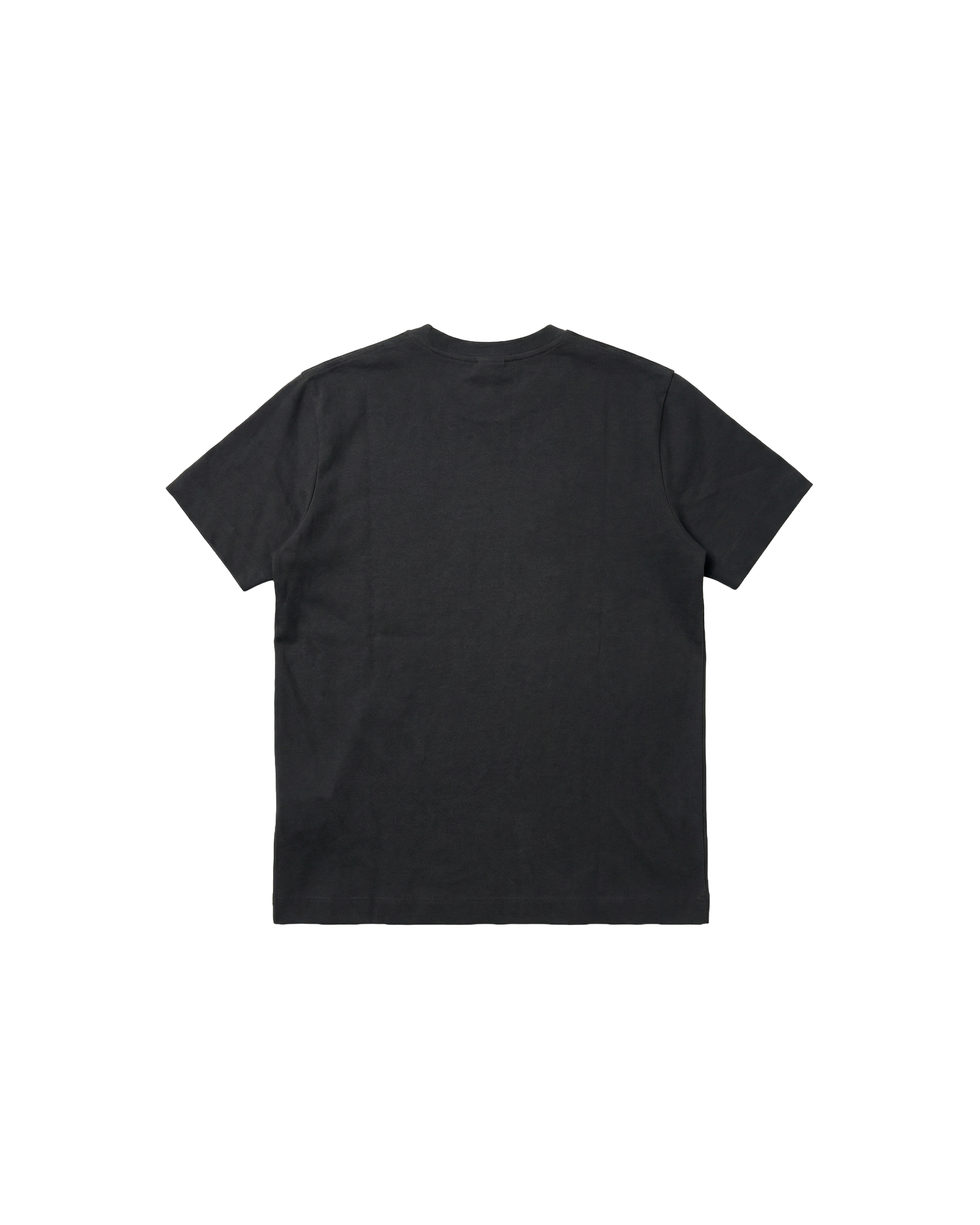 Camiseta Básica Regular 310g Negro