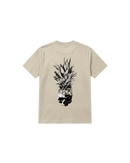 Calavera Piña Regular 250 Marfil Cubica