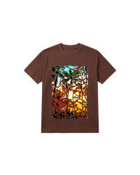 Crystal Beach Regular 250 Chocolate Cubica