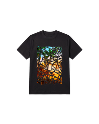 Crystal Beach Regular 250 Negro Cubica