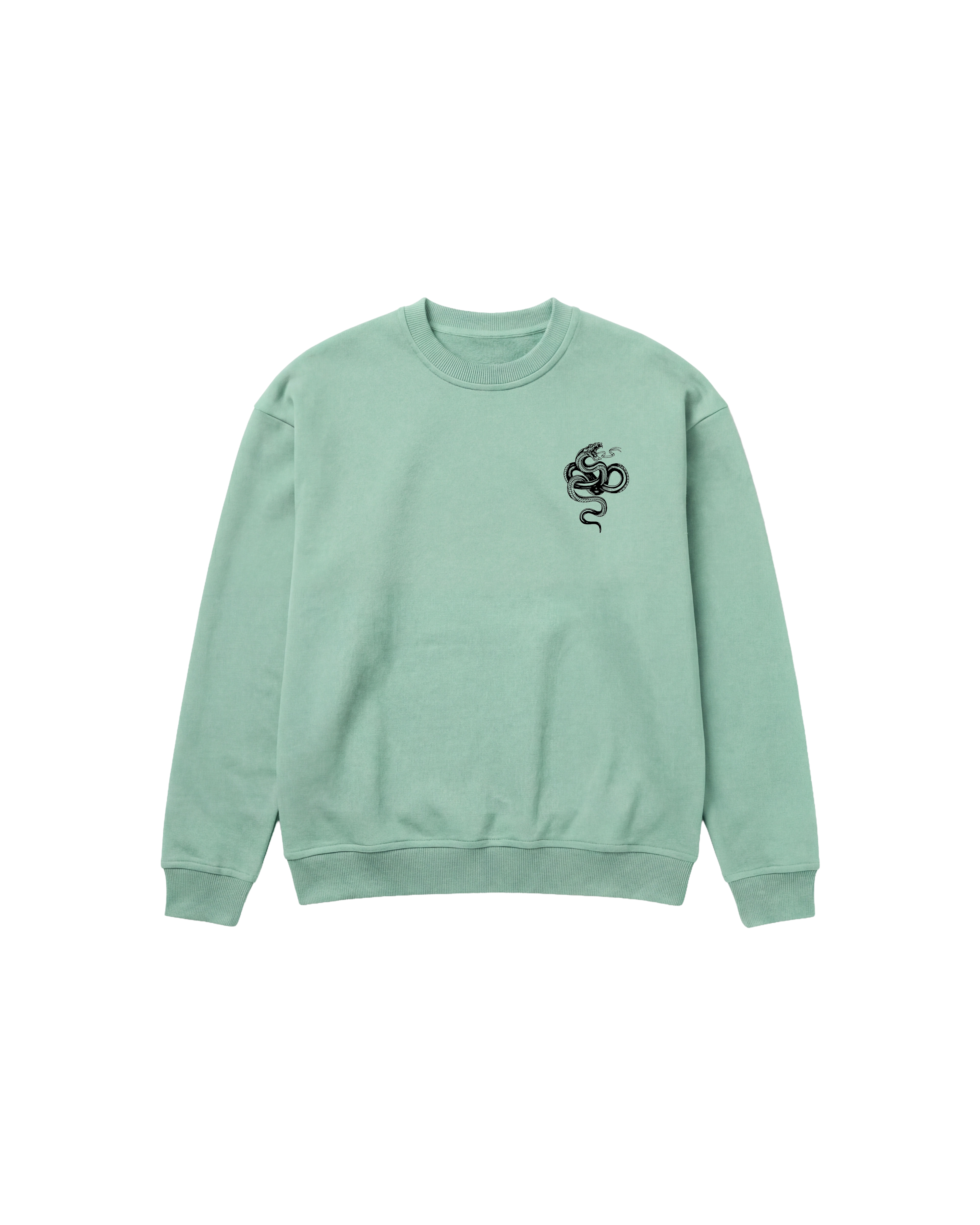 Cubica Snake Sweatshirt 410 Verde Menta Cubica