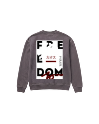 Free Dom Sweatshirt 410 Gris Oscuro Cubica